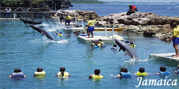 Dolphin Cove in Jamaica