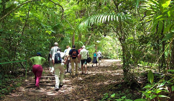 Rain Forest Tour in Tobago