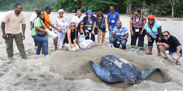 Turtle Watching Tobago Tour